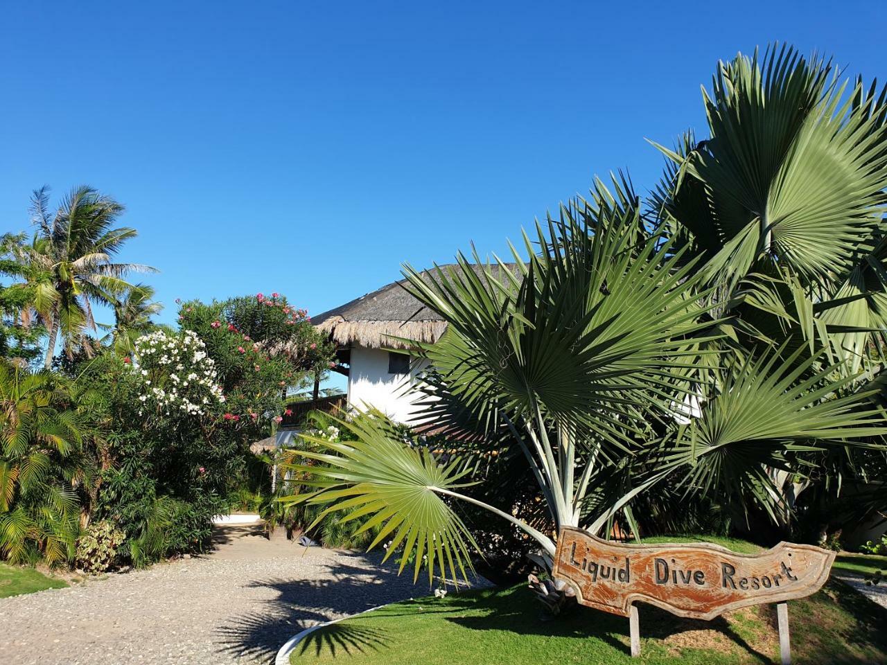 Liquid Dive Resort Dauin Esterno foto