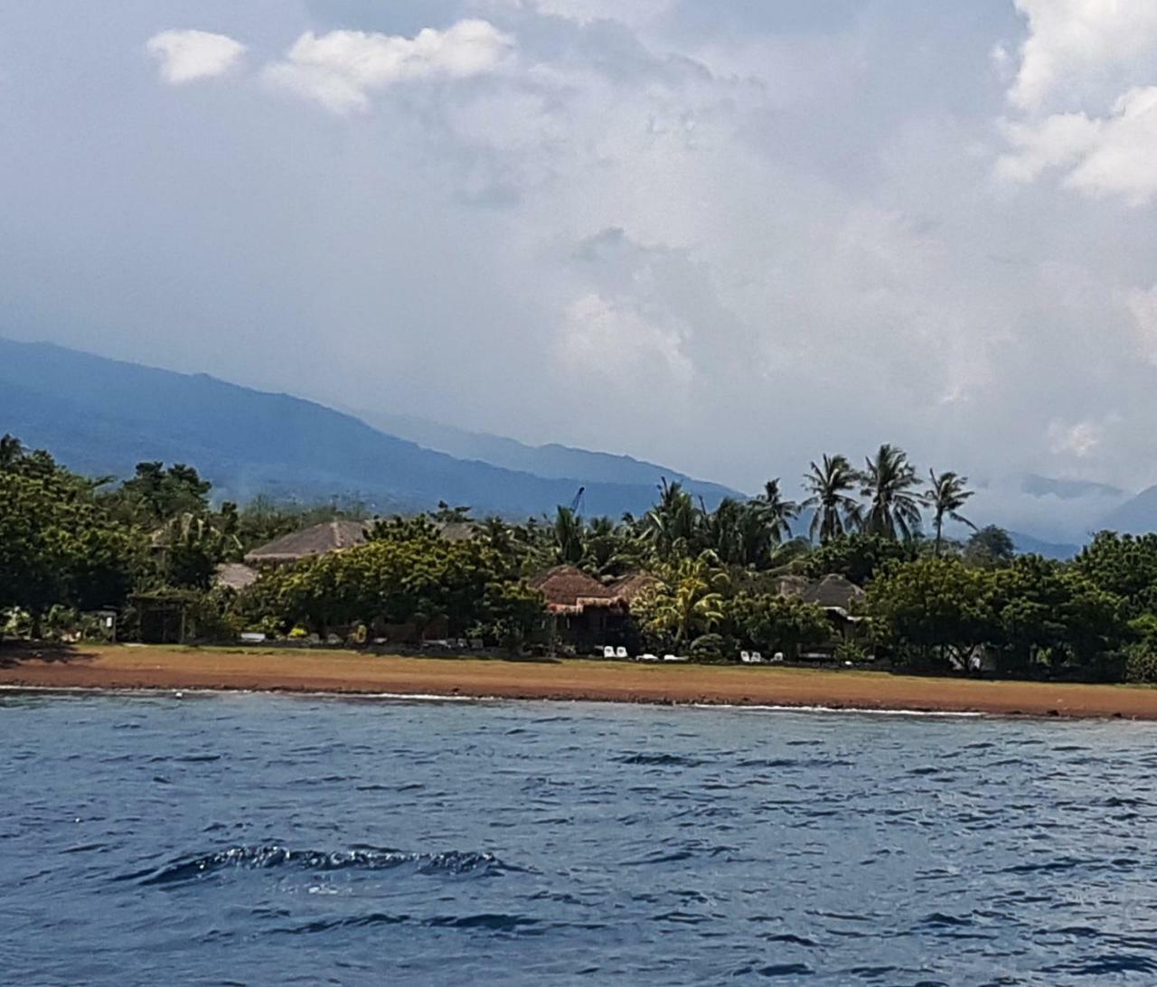 Liquid Dive Resort Dauin Esterno foto