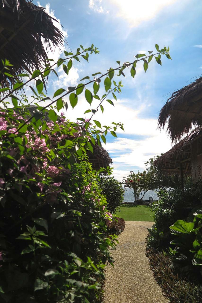 Liquid Dive Resort Dauin Esterno foto